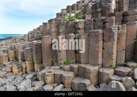 Basaltsäulen in der Giant es Causeway in Nordirland. Stockfoto