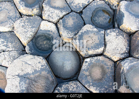 Giants Causeway, Co. Antrim, Nordirland. Stockfoto