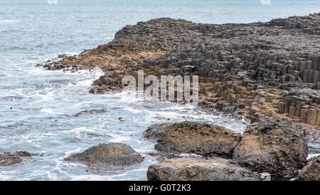 Giants Causeway, Co. Antrim, Nordirland. Stockfoto