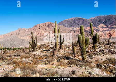 Farbenfrohe Tal der Quebrada de Humahuaca, zentralen Anden Altiplano, Argentinien Stockfoto