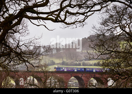 Whalley ein großes Dorf in Ribble Valley an den Ufern des Flusses Calder in Lancashire.  Volksmund "Whalley Arches", Wha Stockfoto