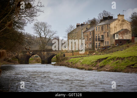 Whalley ein großes Dorf in Ribble Valley an den Ufern des Flusses Calder in Lancashire.  Hütten am Ufer des Flusses cal Stockfoto