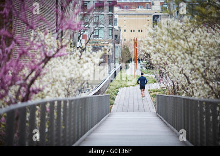 New York The High Line (auch bekannt als der High Line Park) ist ein linearer Park in Manhattan an einer erhöhten Stelle eine Disu gebaut Stockfoto