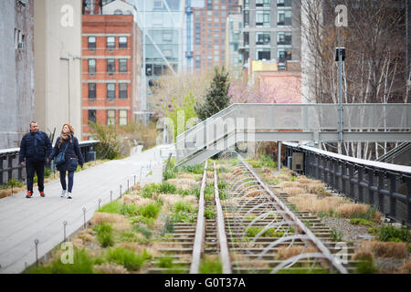 New York Wildblumen ist The High Line (auch bekannt als der High Line Park) einen linearen Park in Manhattan auf einer erhöhten Sekte Stockfoto