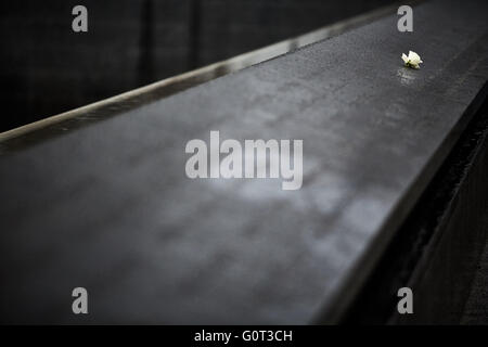 New York 9/11 Memorial ist zum Gedenken an die Geburtstage der Opfer der Anschläge von 2001 und 1993. Memorial Mitarbeiter setzt ein Stockfoto