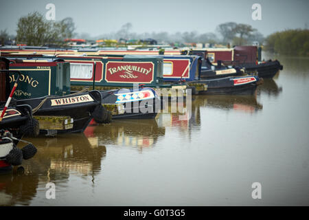 Overwater Marina, Coole Spur, Newhall, Nantwich, Cheshire Wasserstraße trüben nassen Tag Wetter grau grau Schwan in Wasserleitungen der einzelnen Stockfoto