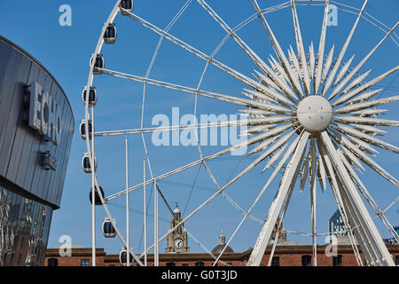 Liverpool Riesenrad Echo Arena Echo Whell von Liverpool Waterfront Riesenrad 60 Meter hoch, mit Panoramablick auf Stockfoto