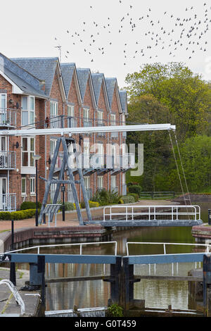 Old Port Chester Canalside sperrt Wohnungen Eigentumswohnungen Wohnung Entwicklung Turm-Aufstieg Architekt Eigenschaft Blockeigenschaften Bui Stockfoto