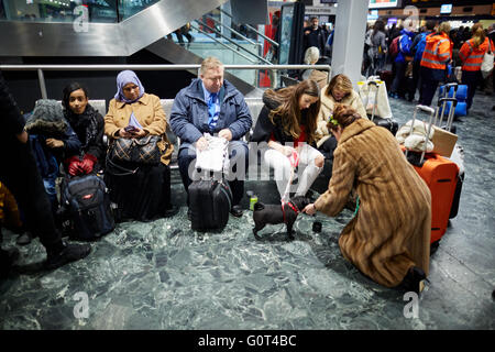 London Euston Railway Station Halle Anzeigetafeln Rush Crush Gebietsangabe warten darauf West Coast Main Line termin Stockfoto