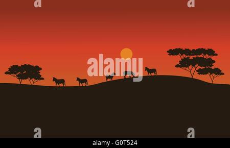 Zebras in der Savanne bei Sonnenuntergang Stock Vektor