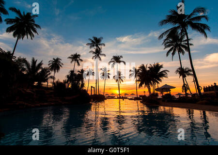 Sonnenuntergang mit Palmen spiegelt sich im Pool. Stockfoto