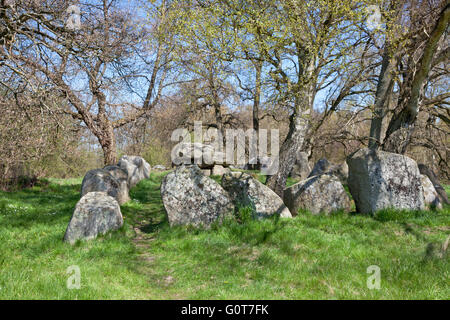 King's Dolmen, Kongedyssen, ein Long Barrow aus der Jungsteinzeit 3.400 v. Chr. in Tokkekoeb Holz, Nordseeland, Dänemark, an einem sonnigen Frühlingstag. Stockfoto