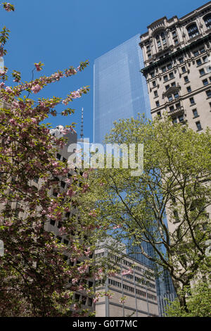 Frühling-Blick nach oben vom Trinity Church Cemetery, NYC Stockfoto