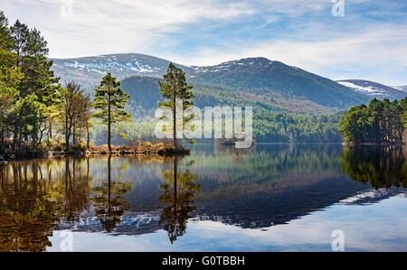 Loch ein Eilein Stockfoto