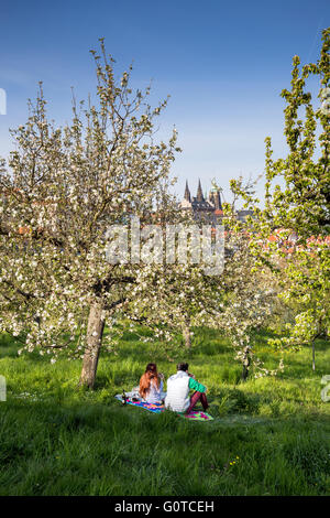 Genießen die Sonne im Frühling, Kleinseite, Prag, Tschechische Republik. Hintergrund ist die Prager Burg Stockfoto