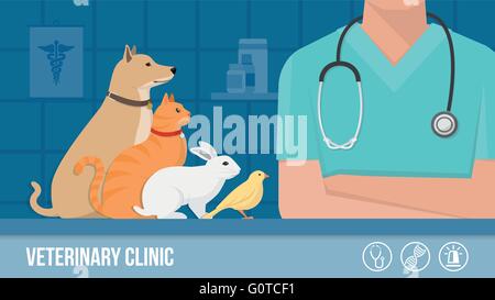Tierklinik Banner mit Hund, Katze, Kaninchen, Vogel und Tierarzt verschränkten Armen und Labor auf Hintergrund Stock Vektor