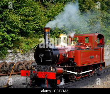 Isle Of Man Stream Motor bei Douglas station Stockfoto