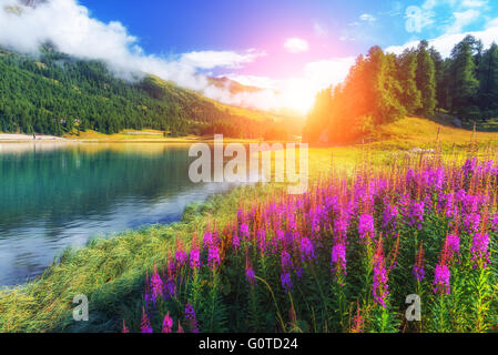 Erstaunliche sonniger Tag am Champferersee See in den Schweizer Alpen. Silvaplana-Dorf, Schweiz, Europa. Stockfoto