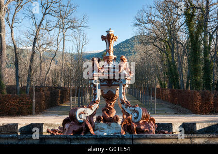 Brunnen der Drachen, in den Gärten des königlichen Palastes von La Granja de San Ildefonso, Segovia, Spanien Stockfoto