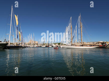 Bilder von Palma International Boat Show 2016 und Palma Superyacht Show 2016-Panorama der Superyachten + gotische Kathedrale von Palma Stockfoto