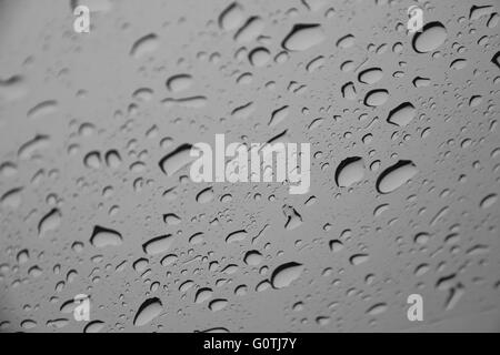 Wassertropfen oder Regentropfen auf einer Glasoberfläche (Tiefenschärfe) Stockfoto