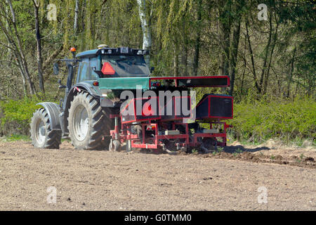 Traktor mit einem angebauten Pflanzen von Bäumen Maschine Anpflanzung von Weihnachtsbäumen, in diesem Fall Nordmanntanne auf einem Feld in der benachbarten Mischwald Stockfoto