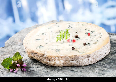 Fourme d'Ambert Käsescheibe auf weißem Hintergrund Stockfoto