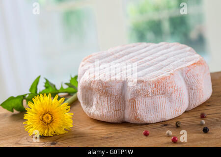 Weichkäse. Isoliert auf weißem Hintergrund. Stockfoto