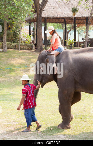 Elefanten reiten Baden Erfahrung im Elephant Kingdom in Chiang Rai Thailand Touristen posiert Stockfoto