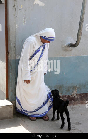 Mutter Teresa Schwester gerupft aus eine schwarze Ziege auf Kleidungsstück, Kalkutta, Indien Stockfoto