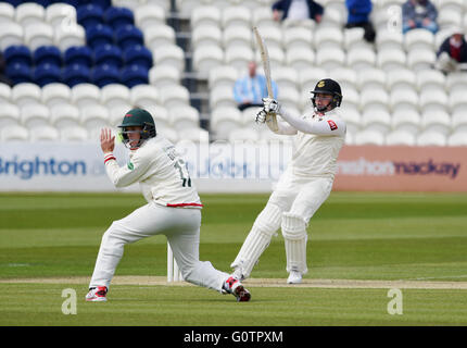 Sussex Matt Machan Haken den Ball vorbei an Leicestershires schließen in Fielder Neil Dexter während Specsavers County Championship Match zwischen Sussex County Cricket Club und Leicestershire CCC auf dem 1. zentrale County Ground in Hove. 1. Mai 2016. Stockfoto