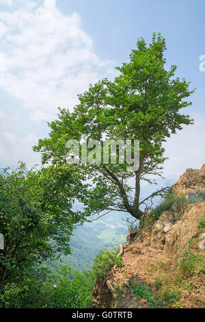 Schöne Landschaft am Monte Pirchiriano, oberhalb des Dorfes San Pietro, in der Nähe von Sacra di San Michele (Abtei St. Michael) Stockfoto