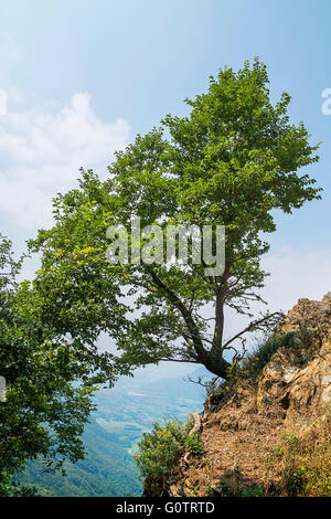 Schöne Landschaft am Monte Pirchiriano, oberhalb des Dorfes San Pietro, in der Nähe von Sacra di San Michele (Abtei St. Michael) Stockfoto