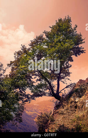 Schöne Landschaft am Monte Pirchiriano, oberhalb des Dorfes San Pietro, in der Nähe von Sacra di San Michele (Abtei St. Michael) Stockfoto