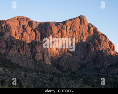 Sonnenaufgang in den Bergen, Chisos Basin Road, Big Bend Nationalpark, Texas. Stockfoto