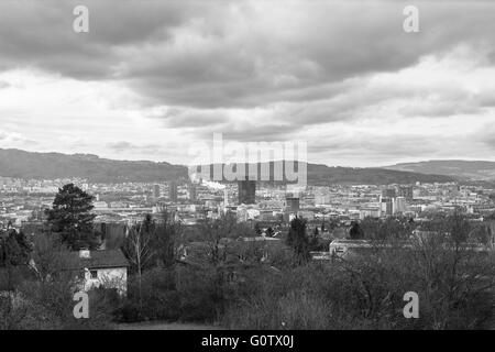 Blick auf die Skyline von Industrie und Wirtschaft Raum Zürich aus Irchelberg in der Schweiz. Foto in schwarz-weiß, Stockfoto