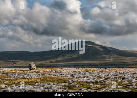 Ein Gletscher erratischen obenauf Mutterschafe mit Ingleborough im Hintergrund Stockfoto