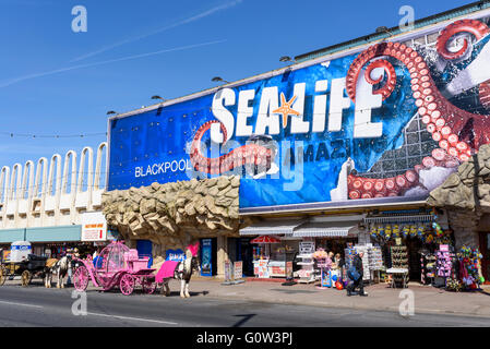 Blick auf die Vorderseite des Sealife Centre befindet sich auf der Promenade in Blackpool, Lancashire, UK Stockfoto