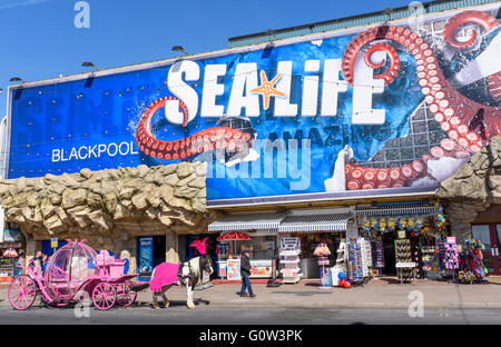 Blick auf die Vorderseite des Sealife Centre befindet sich auf der Promenade in Blackpool, Lancashire, UK Stockfoto