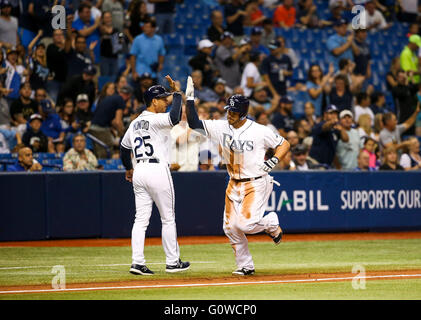St. Petersburg, Florida, USA. 4. Mai 2016. WILL VRAGOVIC | Times.Tampa Bay Strahlen erster Basisspieler Steve Pearce (28) bekommt ein high Five von Tampa Bay Rays dritten Base Trainer Charlie Montoyo (25) auf seinen drei run Home Run im sechsten Inning des Spiels zwischen den Tampa Bay Rays und die Los Angeles Dodgers im Tropicana Field in St. Petersburg, Florida am Mittwoch, 4. Mai 2016. © Willen Vragovic/Tampa Bay Times / ZUMA Draht/Alamy Live News Stockfoto