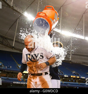 St. Petersburg, Florida, USA. 4. Mai 2016. WILL VRAGOVIC | Times.Tampa Bay Strahlen erster Basisspieler Steve Pearce (28) wird durch die Tampa Bay Rays ab Krug Chris Archer (22) nach dem Spiel zwischen den Tampa Bay Rays und die Los Angeles Dodgers im Tropicana Field in St. Petersburg, Florida am Mittwoch, 4. Mai 2016 übergossen. Die Tampa Bay Rays schlagen die Los Angeles Dodgers 8-5. © Willen Vragovic/Tampa Bay Times / ZUMA Draht/Alamy Live News Stockfoto