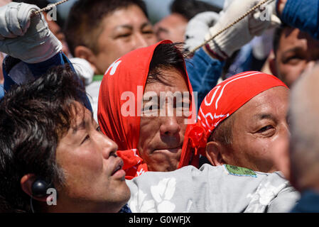 4. Mai 2016 - kämpfen Menschen mit Drachen auf dem Hamamatsu-Festival in der Präfektur Shizuoka, Japan. Teams bauen ihre eigenen Drachen, bis zu 3,5 von 3,5 Meter, und dann versuchen, die anderen Teams Drachen senken, indem Sie fliegen sie dicht beieinander und Reibung, um die Hanf-Kite-Saiten zu verbrennen. Das Festival, das neue Geburten feiert, findet vom 3. bis 5. Mai und deckt sich mit Kindertag. © Ben Weller/AFLO/Alamy Live-Nachrichten Stockfoto