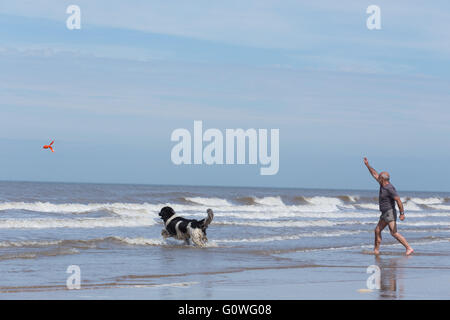 Formby, Merseyside. 5. Mai 2016. Ein Mann spielt mit seinem Hund im Meer, während der heißen und sonnigen Bedingungen in Formby Beach in Formby, Merseyside, am 5. Mai 2016. Meteorologen haben eine Hitzewelle in ganz Großbritannien an diesem Wochenende mit einigen Bereichen Temperaturen von bis zu 26 c sehen soll vorausgesagt Stockfoto