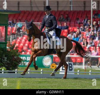 Badminton House, Badminton, UK. 5. Mai 2016. Mitsubishi Motors Badminton Horse Trials. Zweiter Tag. Michael Ryan (IRE) Reiten ‘Ballylynch Abenteuer "während des Dressur Bestandteils der Mitsubishi Motors Badminton Horse Trials. Bildnachweis: Aktion Plus Sport/Alamy Live-Nachrichten Stockfoto