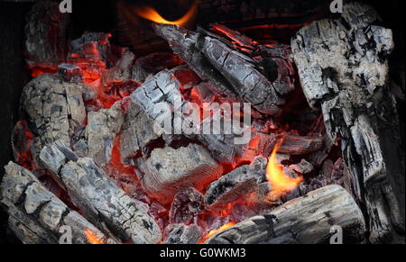 Flamme auf heiße live Holzkohle Nahaufnahme Foto Stockfoto