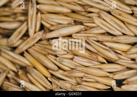 viel frische Bohnen Nahaufnahme von Hafer Stockfoto