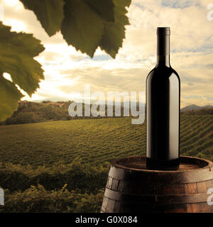 Flasche Rotwein auf Wodden Lauf, Weinberg im Hintergrund Stockfoto