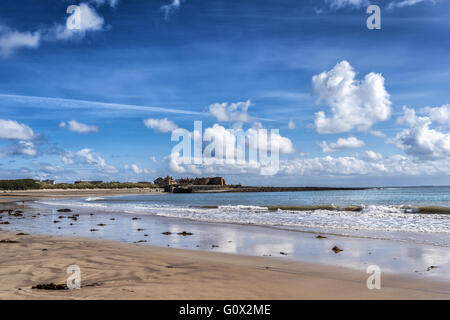 Beadnell-Strand an der Northumbrian Küste Englands Stockfoto