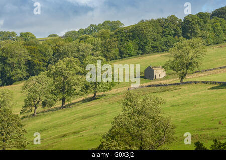 Einer alten verfallenen Scheune auf dem Hügel von Malhamdale in Yorkshire Dales Stockfoto