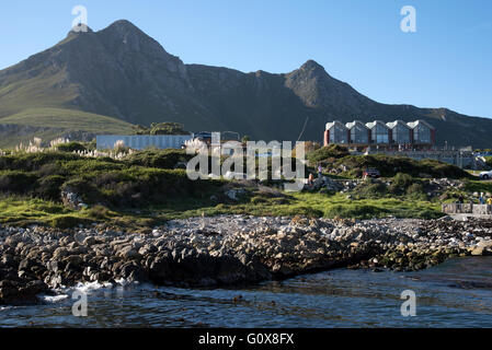 KLEINMOND HAFEN WESTERN CAPE IN SÜDAFRIKA. Der kleine Hafen in der beliebten Küsten Kleinmond im Western Cape Stockfoto